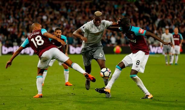 洛伊的未来 洛伊的未来