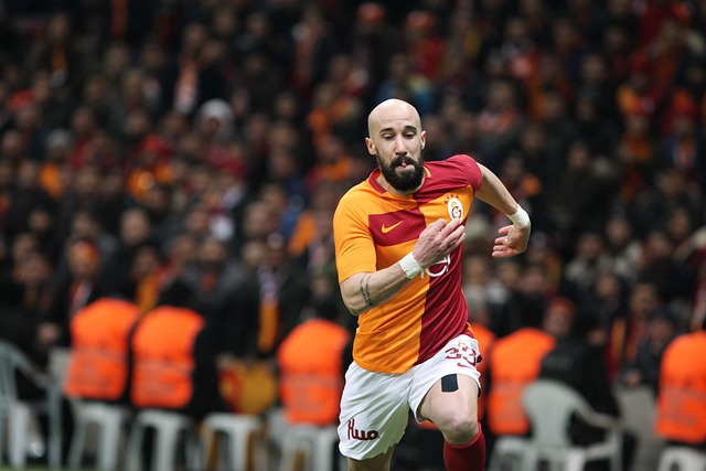 了一个舒适 了一个舒适